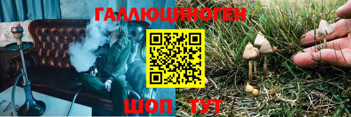 Псилоцибиновые грибы мухоморы  Вход с VPN  Белая Калитва  Галлюциногенные грибы MAGIC MUSHROOMS 